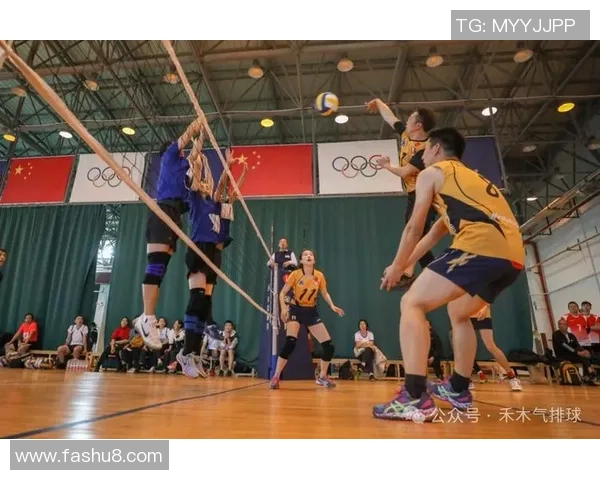 从零起步掌握排球技巧与战术全解析助你成为排球高手